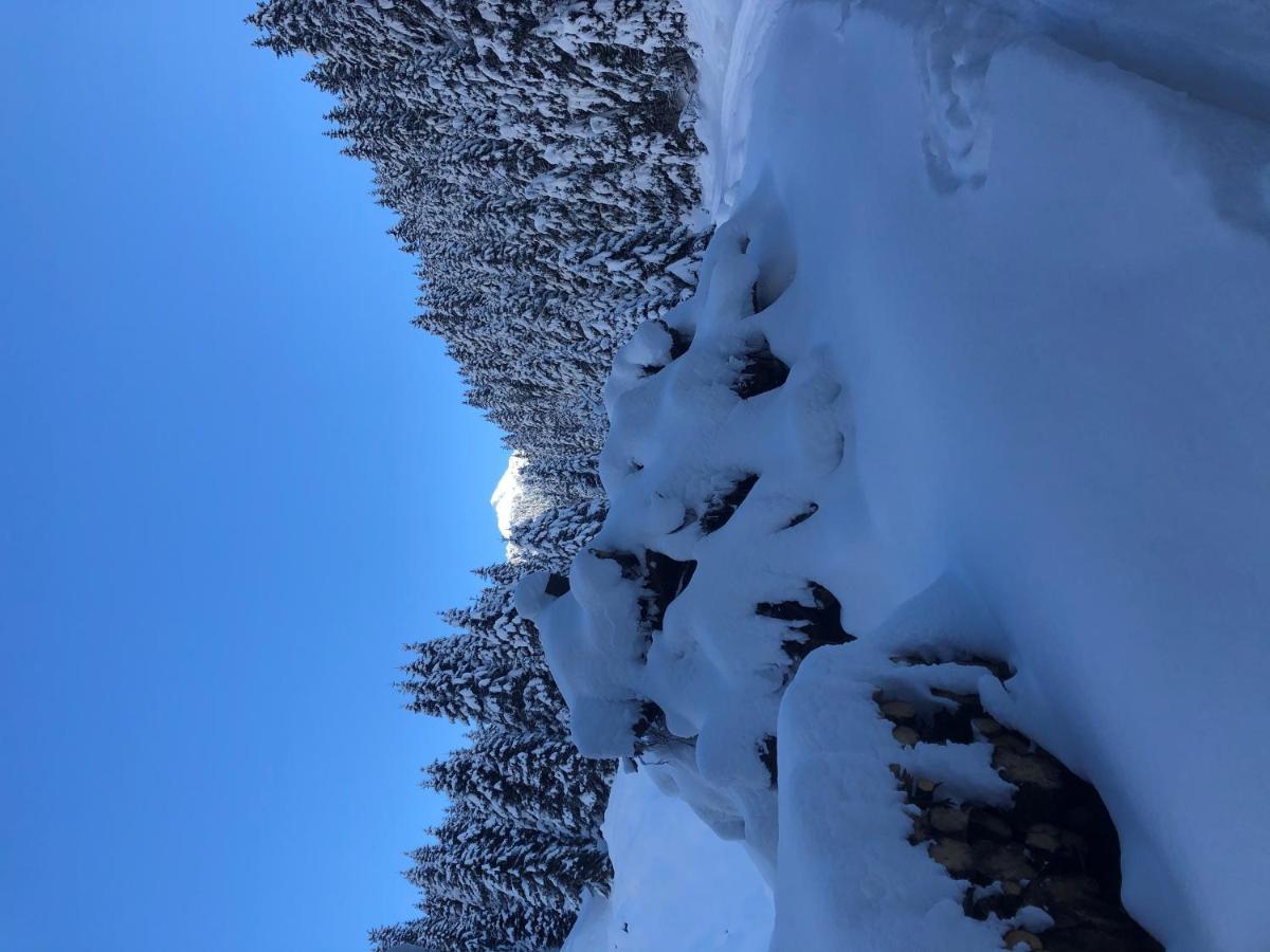 Alpapart - Innsbruck Ellbögen Exteriör bild