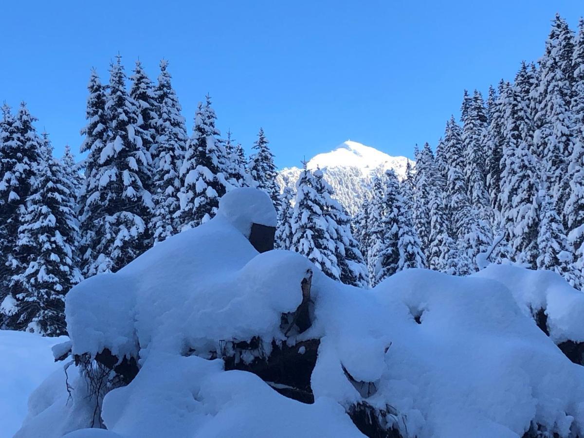 Alpapart - Innsbruck Ellbögen Exteriör bild