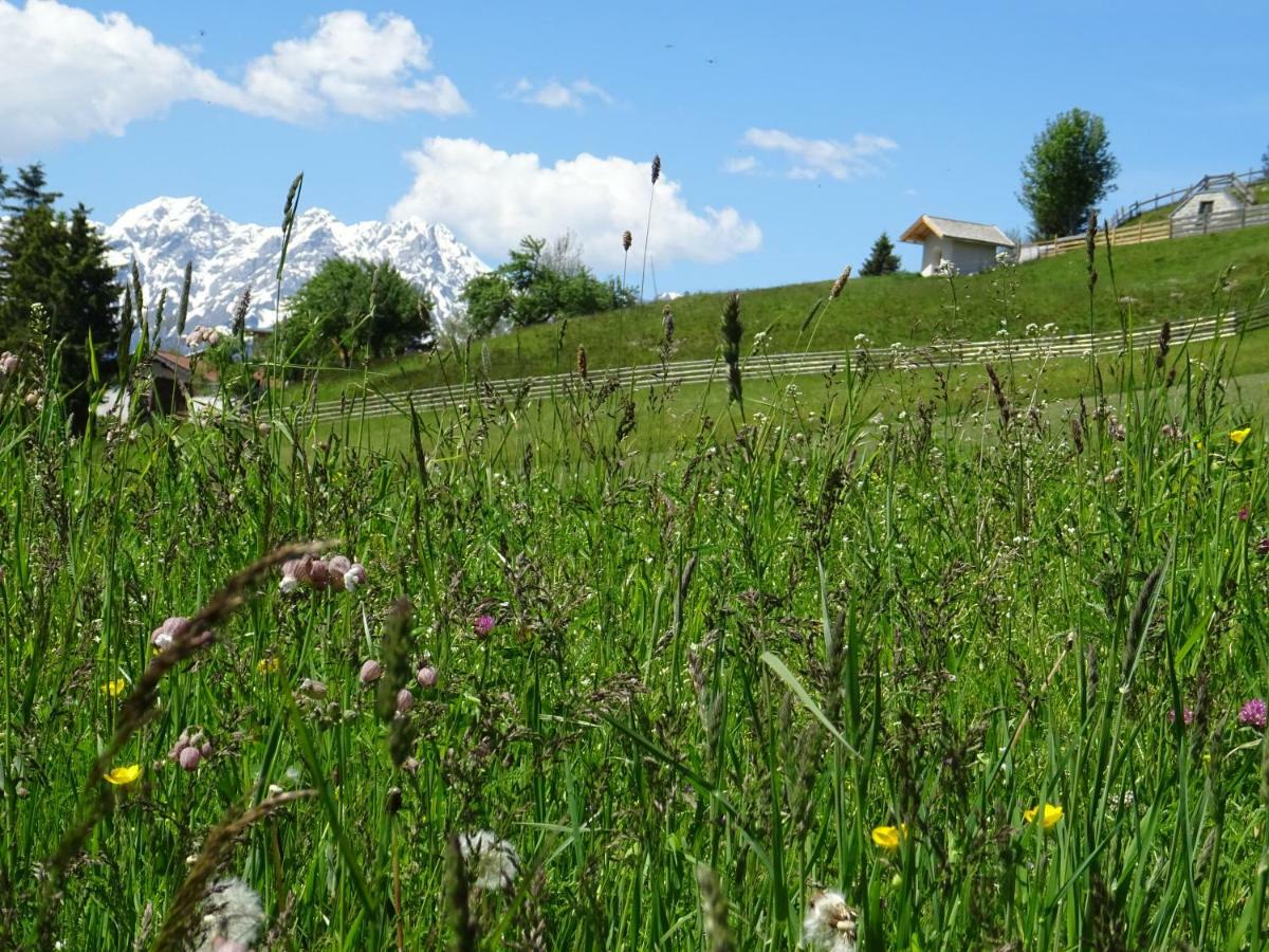Alpapart - Innsbruck Ellbögen Exteriör bild