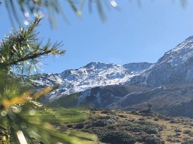 Alpapart - Innsbruck Ellbögen Exteriör bild