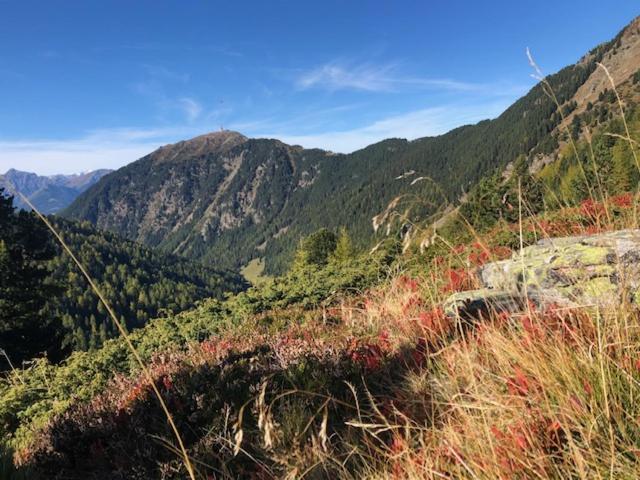 Alpapart - Innsbruck Ellbögen Exteriör bild